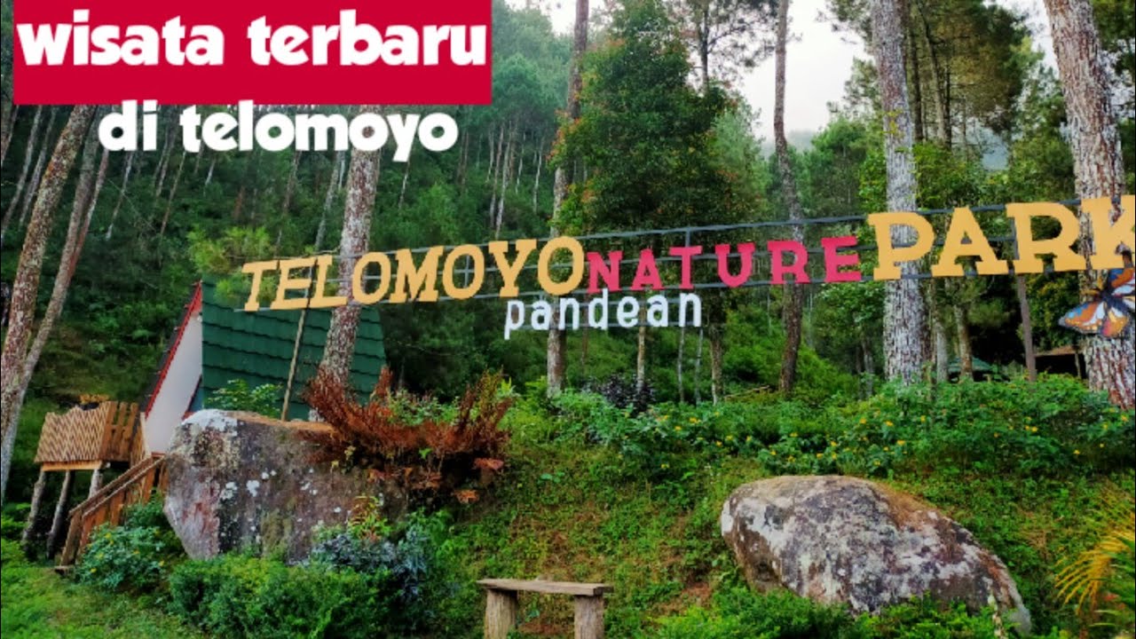 Telomoyo Nature Park: Keindahan Alam di Lereng Merapi